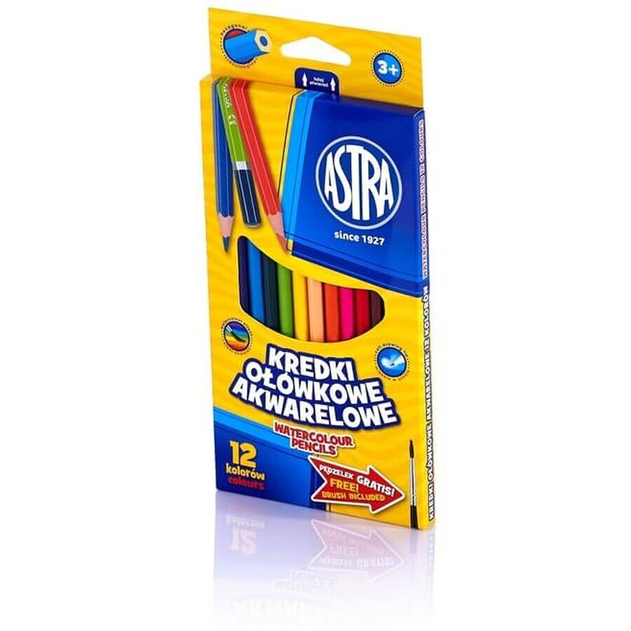 Boutique Crayons d'aquarelle 12 couleurs Crayons d'aquarelle 12 couleurs