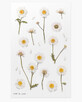 Pegatinas decorativas de flores Margarets