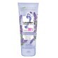 Bielenda Lavender Strongly Regenerating Foot Cream, 75 ml