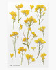 Adhesivos decorativos flores violaci&#243;n