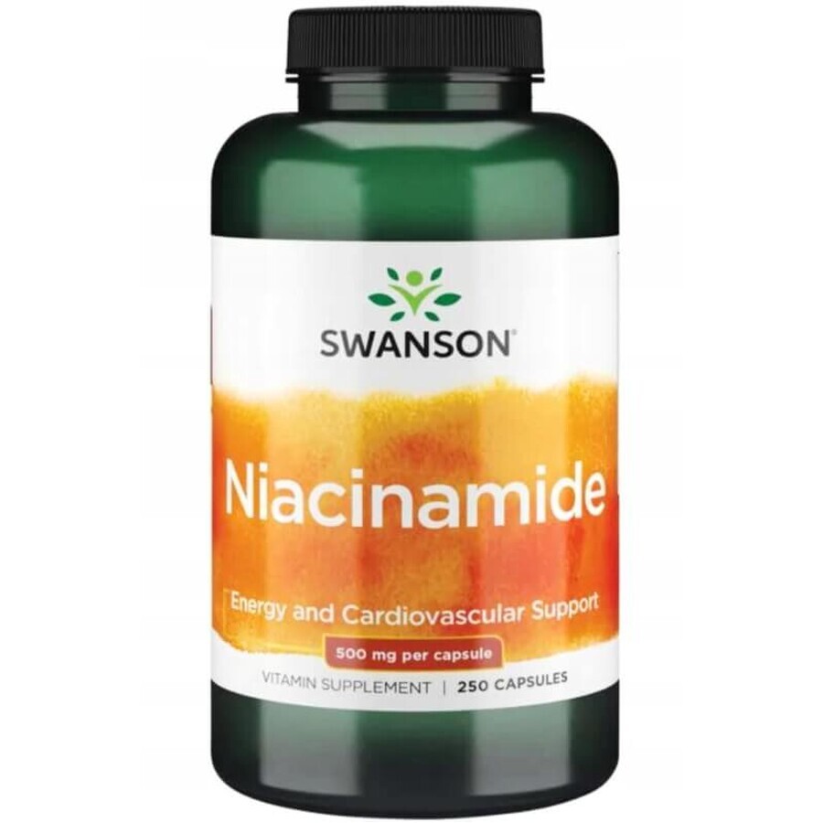 Swanson Niacinamid Vitamin B3, 250 Kapseln
