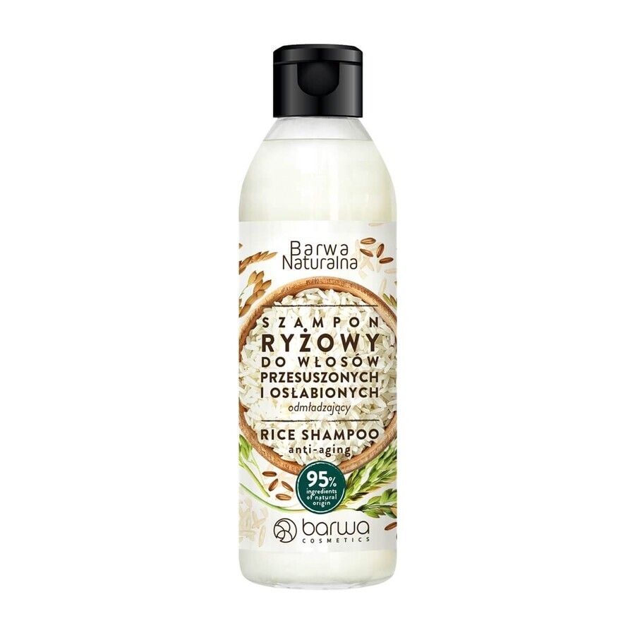 Buy Barwa Rejuvenating Rice Shampoo, 300ml Barwa Rejuvenating Rice Shampoo, 300ml