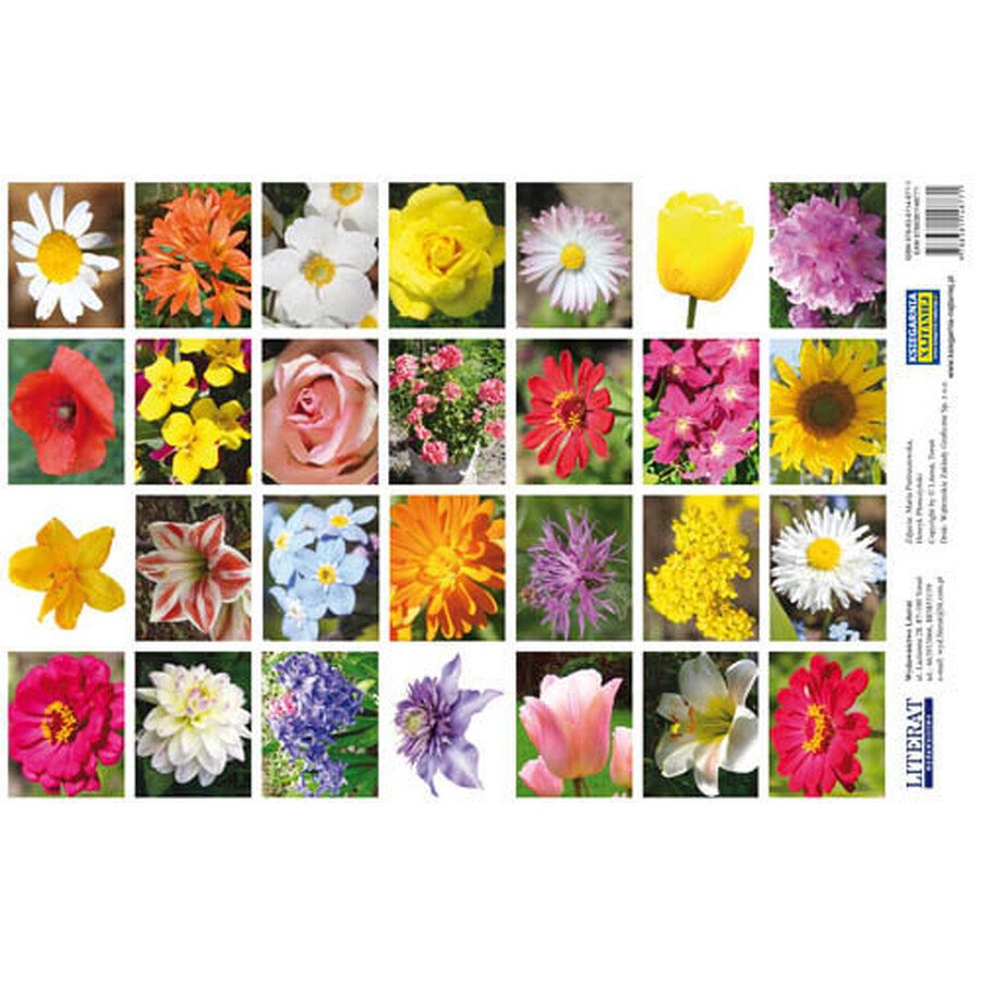 Cumpără Stickere Flori Stickere Flori