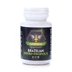 Brazilian Green Propolis, 30 capsules, Blue Diamond