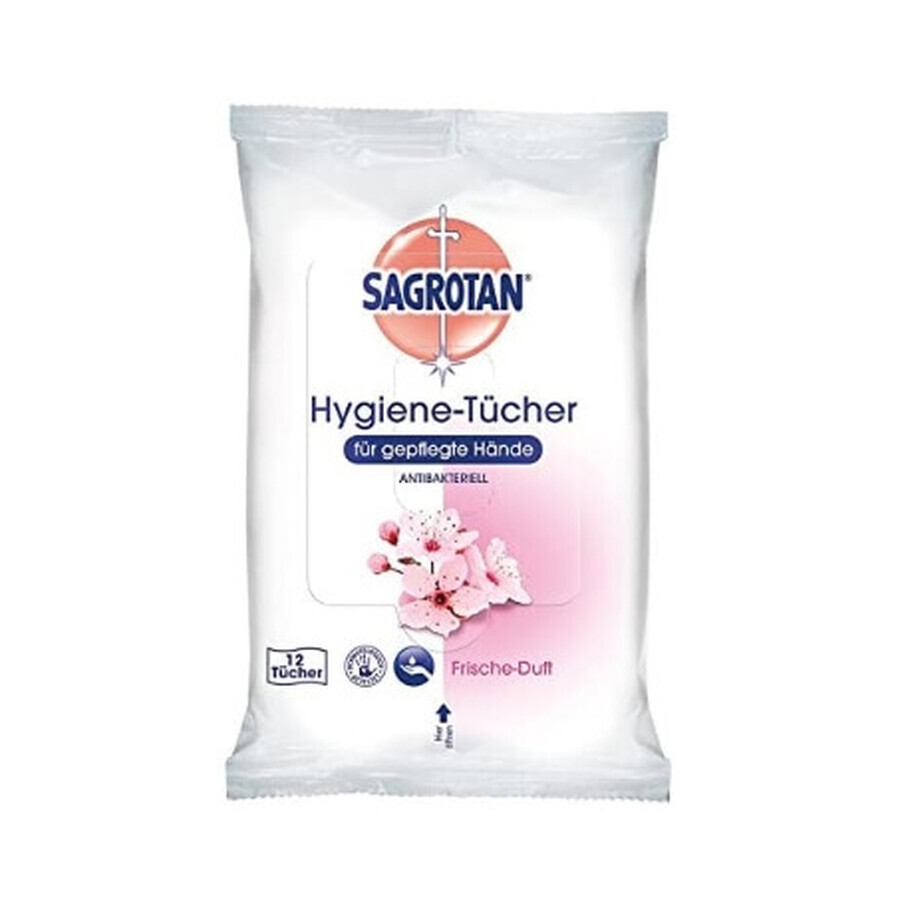 Sagrotan, Hand sanitizing wipes, 12 pieces