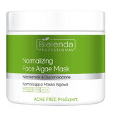 Bielenda Professional Acne Free ProExpert Normalizing Algae Mask, 160 g