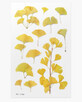 Adesivi per piante decorative Albero di Ginkgo