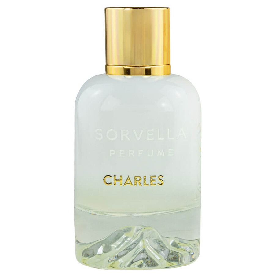 Cumpără Sorvella Parfum Mountain Charles Apă de Parfum, 100 ml Sorvella Parfum Mountain Charles Apă de Parfum, 100 ml