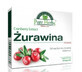 Olympus, Cranberry Premium, 30 capsules