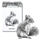 Schetsboek A6 verticaal op spiraal Eekhoorn 60K 120 grams Narcis