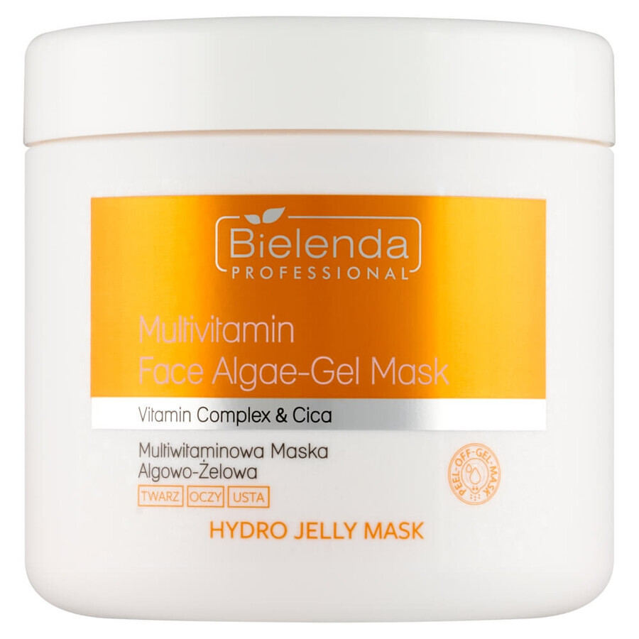 Buy Bielenda Professional Hydro Jelly Mask Multivitamin algae-gel mask, 190 g Bielenda Professional Hydro Jelly Mask Multivitamin algae-gel mask, 190 g