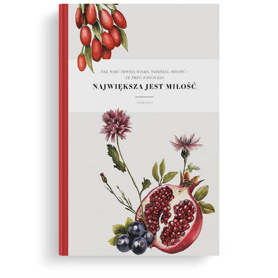 Buy Lux Notebook So Lasts Pomegranate Lux Notebook So Lasts Pomegranate