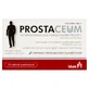 Prostaceum 30 tabletten