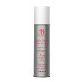 Hegron Perfect Hold Hairspray, 250 ml