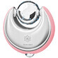 Diforo Facial Ice Globes K&#252;hlung und Erw&#228;rmung Gesichtsmassageger&#228;t Rose