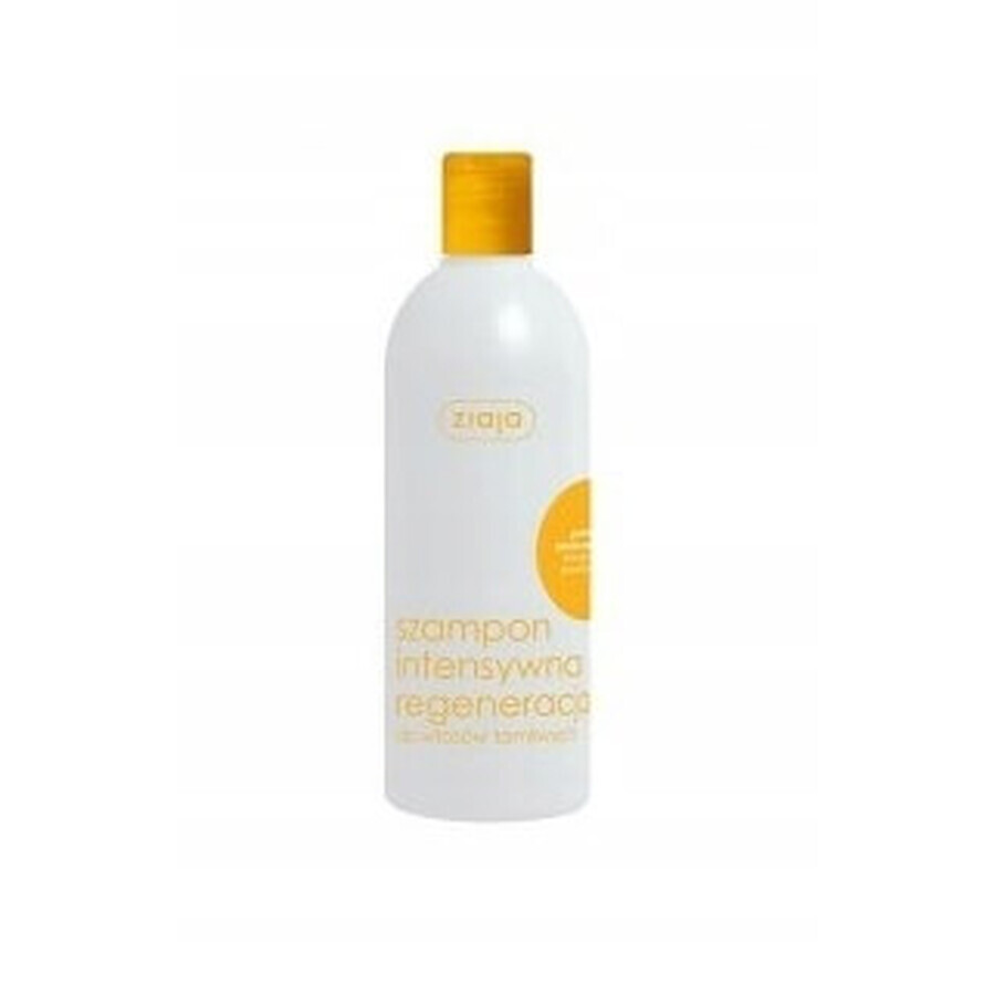 Ziaja, Shampooing régénération intensive, cheveux cassants, 400 ml