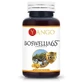 Yango, Boswellia 65, 60 capsules