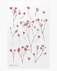 Decorative stickers flowers Lysszczec