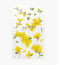 Forsythia Appree decorative flower stickers