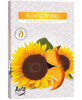 Bispol Aura Sunflower Duftw&#228;rmer, 6 St&#252;ck