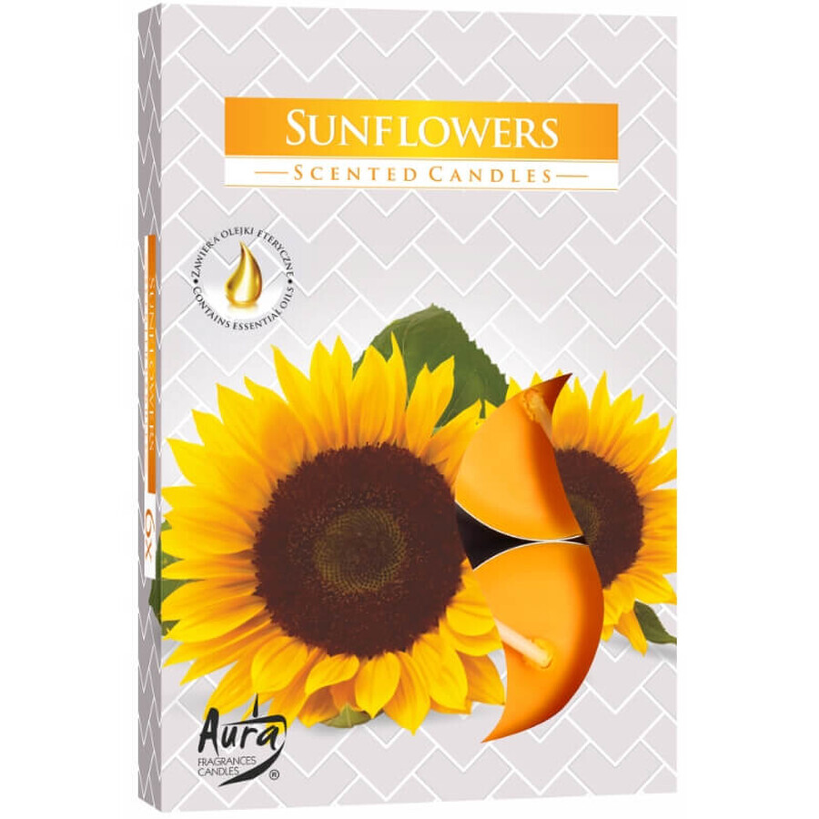Comprar Calentadores de fragancia Bispol Aura Sunflower, 6 piezas Calentadores de fragancia Bispol Aura Sunflower, 6 piezas