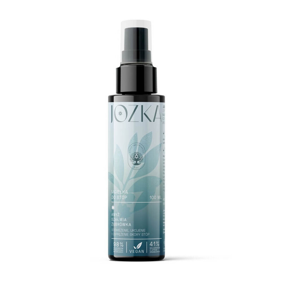 Buy Jozka Refreshing foot mist anise sage bison sage, 100 ml Jozka Refreshing foot mist anise sage bison sage, 100 ml