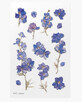 Decorative Stickers Flowers Fairy