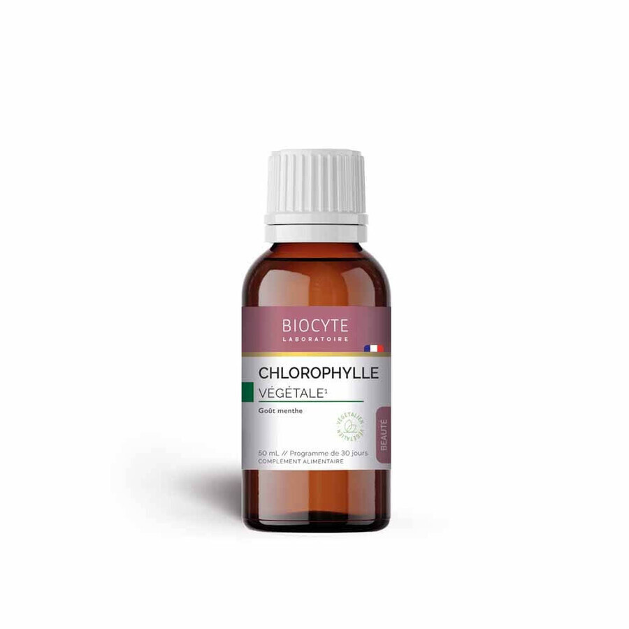 Biocyte Schönheit Chlorophyll Pflanze Minze Aroma 50ml