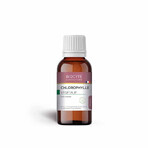 Biocyte Schönheit Chlorophyll Pflanze Minze Aroma 50ml Biocyte Schönheit Chlorophyll Pflanze Minze Aroma 50ml