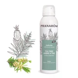 Pranarôm Les Hydrolats Tea Tree Arbre à Thé Bio Peaux Abîmées 150ml