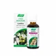 A.Vogel France Fresh Plant Extract Chestnut 50ml