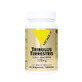 Vit&#39;All+ Standardized Extract of Tribulus Terrestris 300 mg 60 Tablets