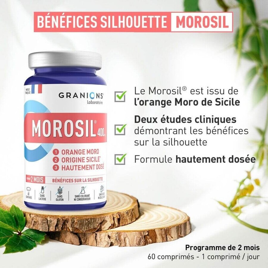 Granions Morosil 400 mg 60 comprimidos