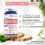 Granions Morosil 400 mg 60 comprimidos Granions Morosil 400 mg 60 comprimidos
