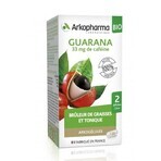 Arkopharma Arkogélules Guarana Bio 130 Gelules