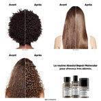 L'Oréal Professionnel Absolut Repair Mascarilla Molecular Sin Aclarado 50ml L'Oréal Professionnel Absolut Repair Mascarilla Molecular Sin Aclarado 50ml