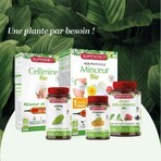 Protocolul de slăbire Superdiet 30 fiole Protocolul de slăbire Superdiet 30 fiole