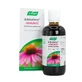 A.Vogel France Extrait de plante fraîche Echinaforce 100ml