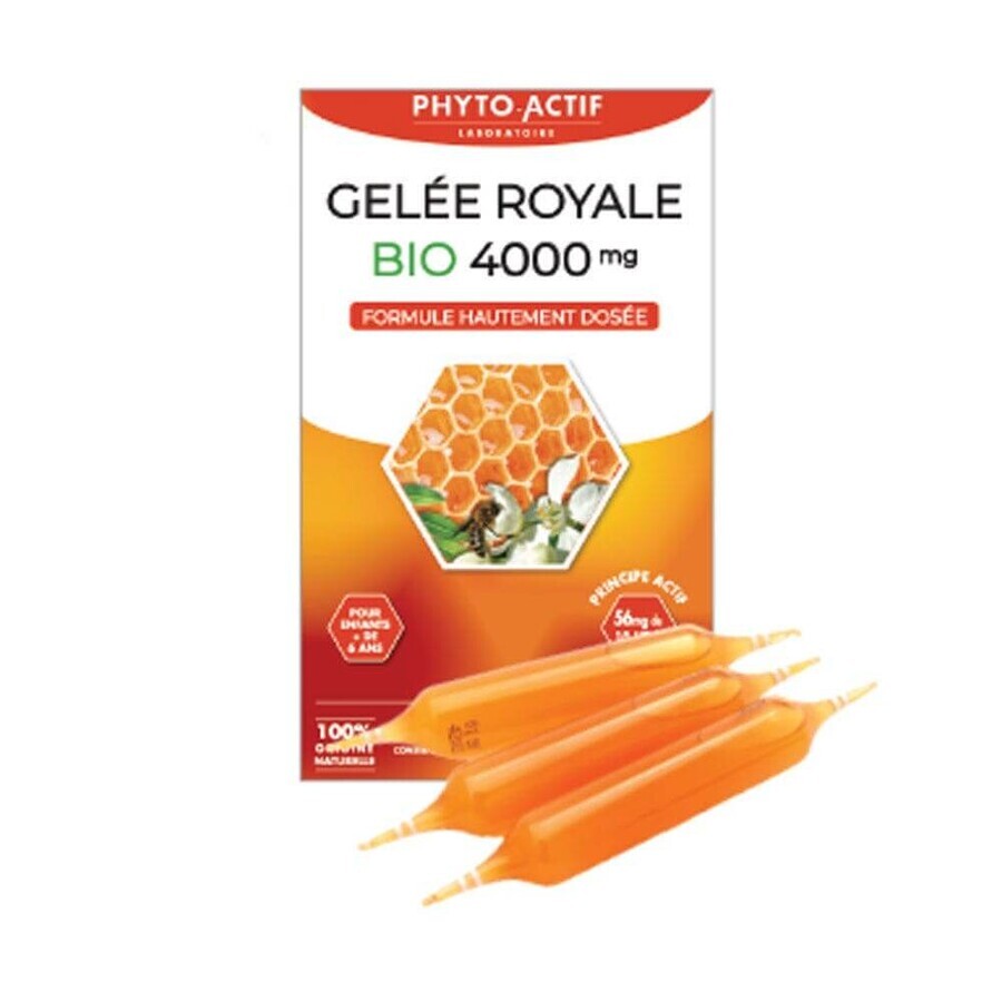Phyto-Actif Gelatina reale bio 4000mg titolate in 10 hda 20 Fiale