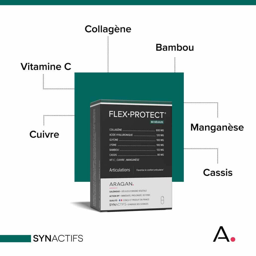 Aragan Synactifs FlexProtect Articolazioni 60 capsule