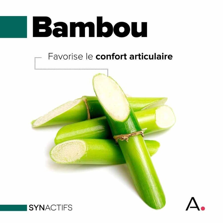 Aragan Synactifs FlexProtect Articolazioni 60 capsule