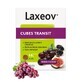 Nutreov Laxeov Cubes Transit Pruneau Figue Raisin 20 cubes