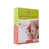 Solaray Lactobacillus Gasseri 30 Tabletten Hdnc