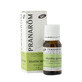 Pranar&#244;m Les Huiles Essentielles Menthe Verte Bio Partie A&#233;rienne 10ml
