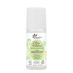 Fleurance Nature Deodorant Bio Water Délices Verbena Bergamot 50ml Fleurance Nature Deodorant Bio Water Délices Verbena Bergamot 50ml