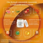 Oenobiol Sun Expert Preparatore solare accelerato programma di 15 giorni 2x15 capsule Oenobiol Sun Expert Preparatore solare accelerato programma di 15 giorni 2x15 capsule