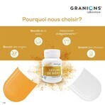 Granions Levure De Biere Zinc 60 Gelules Granions Levure De Biere Zinc 60 Gelules