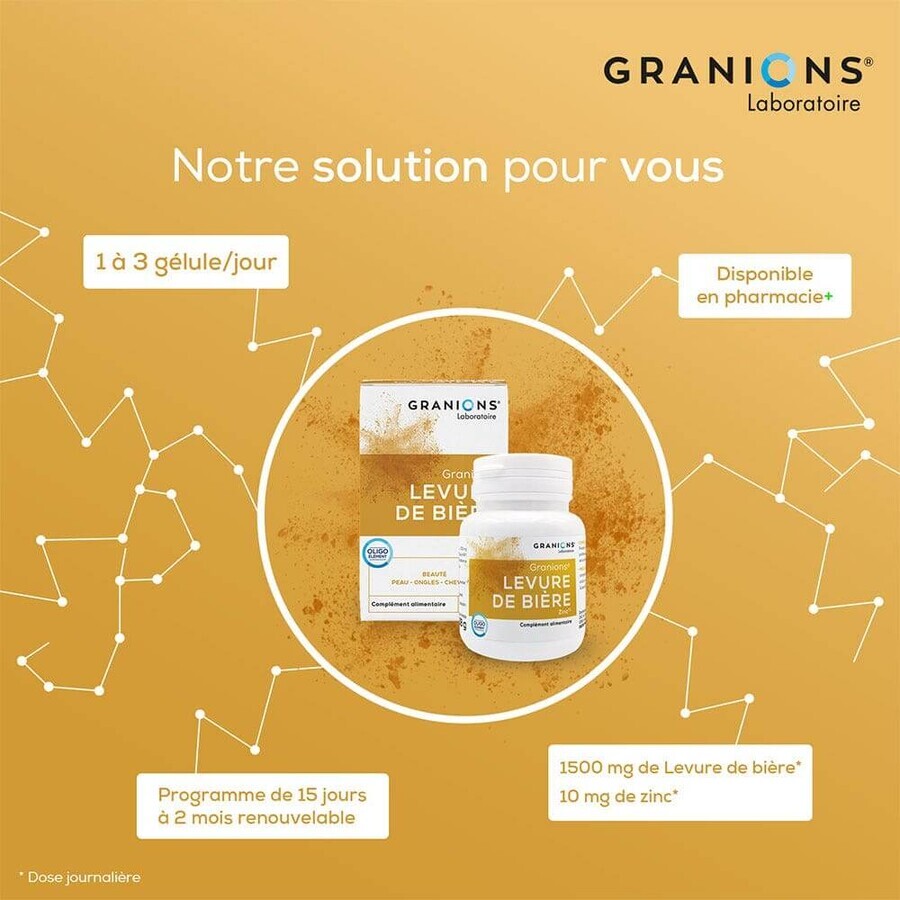 Granions Levure De Biere Zinc 60 Gelules