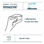 Densmore Vivagyn Confort Intime Probiotique 30 Gélules Densmore Vivagyn Confort Intime Probiotique 30 Gélules