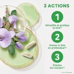 Santarome Desmodium 2500 Détoxifiant du Foie 30 Geluli Santarome Desmodium 2500 Détoxifiant du Foie 30 Geluli